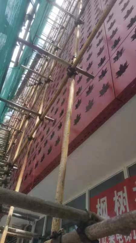 枫树综合体打造项目(图2)
